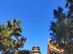 -颐和园
