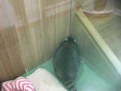 -藦茜花园宠物主题亲子互动体验馆(国顺东路店)