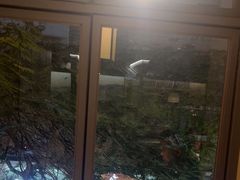-野妹火锅(龙岗店)