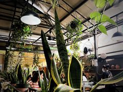 -啰啰冰屋(景洪总店)
