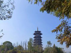 -洋湖国家湿地公园