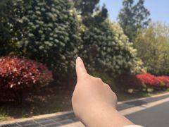 -大蜀山国家森林公园