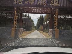 -北纬44度·金珠花海休闲农业旅游景区