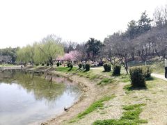 -堤角公园