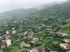 -枸杞岛