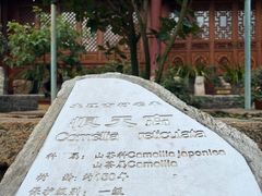 -总统兵马大元帅府