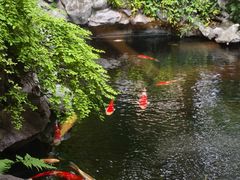 -鲤院·新中式美学·庭院餐厅(夫子庙店)