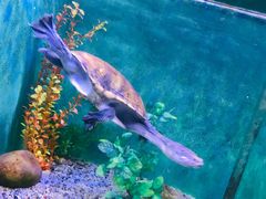 -常州海昌海洋探索馆