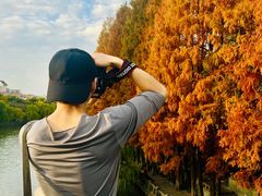 -运河游船(武林门码头)