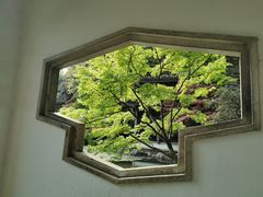 -杭州植物园