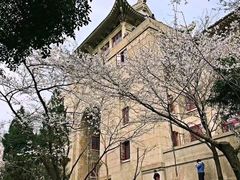 -武汉大学-樱园