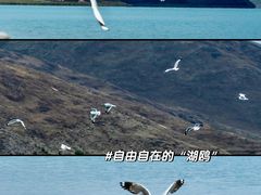 -羊卓雍措
