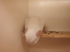 -龙猫仔乐园(惠福东路店)