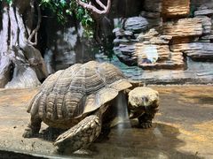 -石家庄市动物园