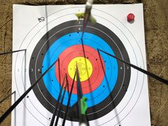 -蓝天射箭馆·专业射箭运动(诚丰广场店)