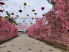 -北京凤凰岭