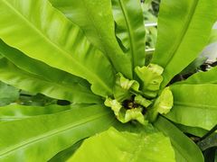 -石家庄市植物园