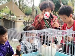 -洪湖家庭农场·团建·露营·会议