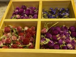 -FACE·日本小颜矫正美容整骨サロン