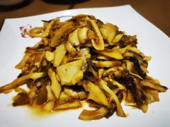 -山明水秀农庄