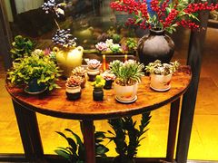 -泉畔人家·老济南经典鲁菜(大明湖店)