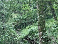 -南京老山国家森林公园