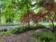 -明珠湖天鹅苑·农家菜馆