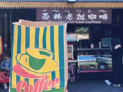 -西双版纳原始森林公园