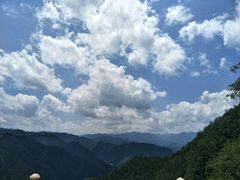 -王顺山国家森林公园