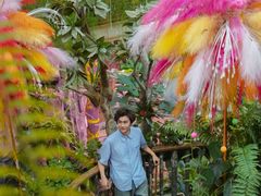 -正佳雨林生态植物园
