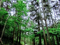 -冶父山国家森林公园