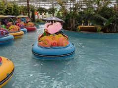 -南宫五洲植物乐园