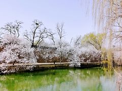 -颐和园