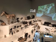 -墨尔本博物馆(Melbourne Museum)
