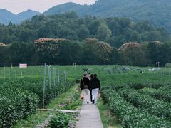-中国茶叶博物馆(双峰馆区)