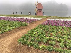-广州市石门国家森林公园