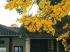 -西园戒幢律寺