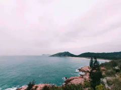 -广东惠东海龟国家级自然保护区