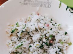 -上海野生动物园老虎餐厅