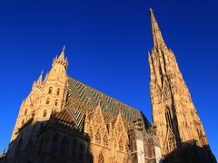 -斯蒂芬主教座堂(Stephansdom)