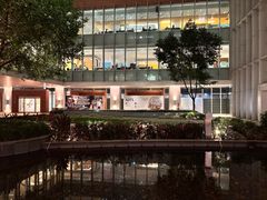 -香港大学