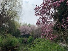 -花溪公园