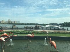 大堂-翠晶水上餐厅(泰晤士小镇店)