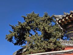 -五台山风景名胜区-罗睺寺