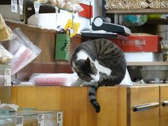 -方林富炒货店(武林路店)