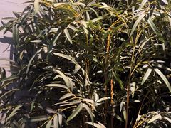 -上足·影院足道·SPA(红岭店)