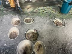 -渔家火锅·海鲜自助餐·演艺(亚龙湾天域酒店)