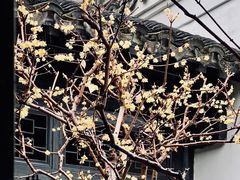 -绮园景区