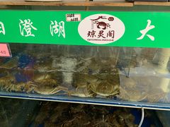 水产区-阳澄湖大闸蟹·琼灵阁牌品牌连锁(吴中总店)
