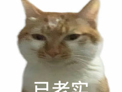 -杨记麻辣烫(四马路店)